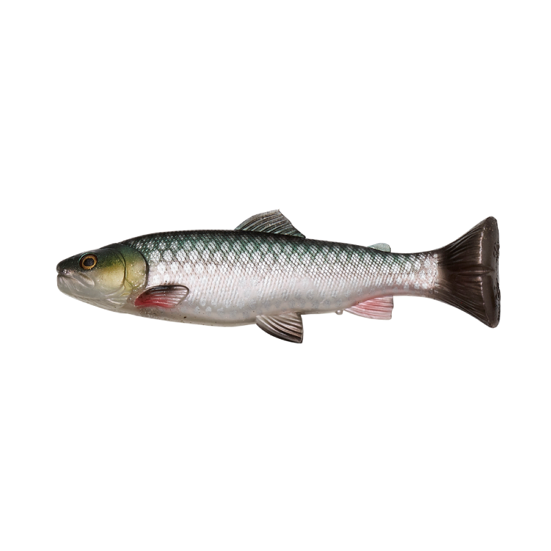 Load image into Gallery viewer, Wildhunter.ie - Savage Gear | 3D Craft Trout Pulsetail | 104g | 20cm -  Predator Lures 
