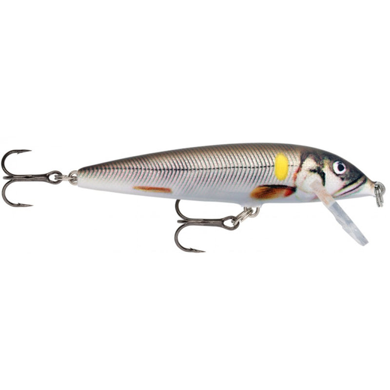 Load image into Gallery viewer, Wildhunter.ie - Rapala | Countdown Sinking Lure | 12g | 9cm -  Rapala Lures 
