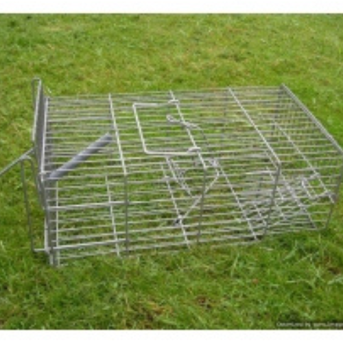 Wildhunter.ie - Pest Clear | Family Rat Cage Trap -  Traps 