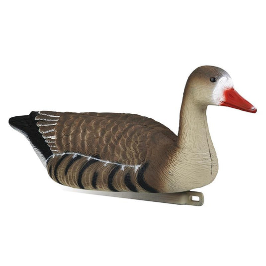 Wildhunter.ie - Stepland | Greater White-Fronted Goose Decoy -  Decoys 