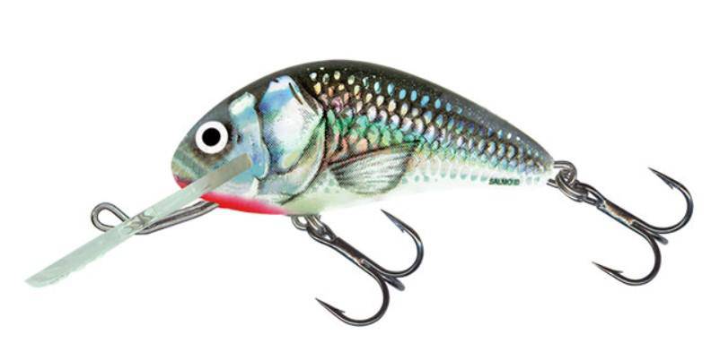 Load image into Gallery viewer, Wildhunter.ie - Salmo | Hornet Floating Lure | 6cm -  Predator Lures 
