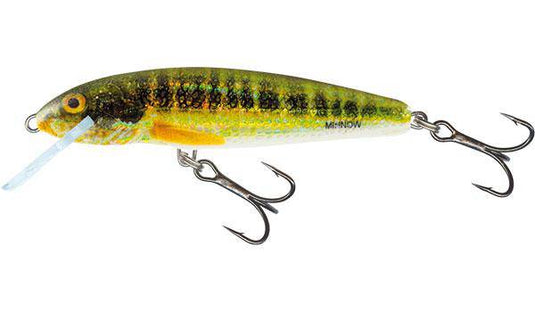 Wildhunter.ie - Salmo | Minnow | Floating | 7cm | 6g -  Trout/Salmon Lures 