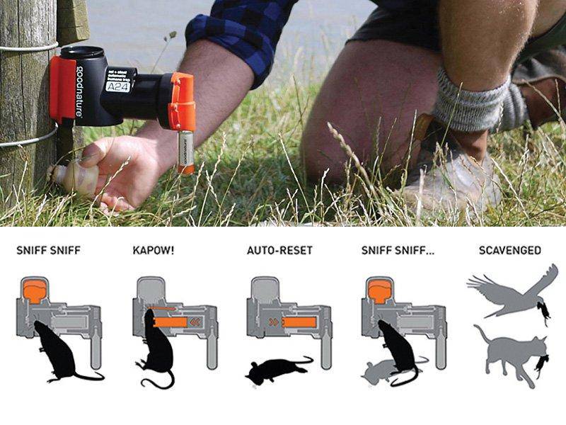 Load image into Gallery viewer, Wildhunter.ie - Goodnature | A24 Automatic Multi-Kill Trap For Rats -  Traps 
