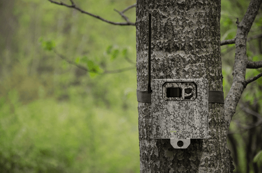 Wildhunter.ie - Spypoint | Steel Security Box -  Trail Cameras 