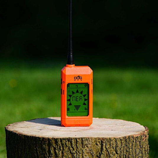 Wildhunter.ie - Dog Trace | DOG GPS X20 | Orange -  Dog GPS Systems 