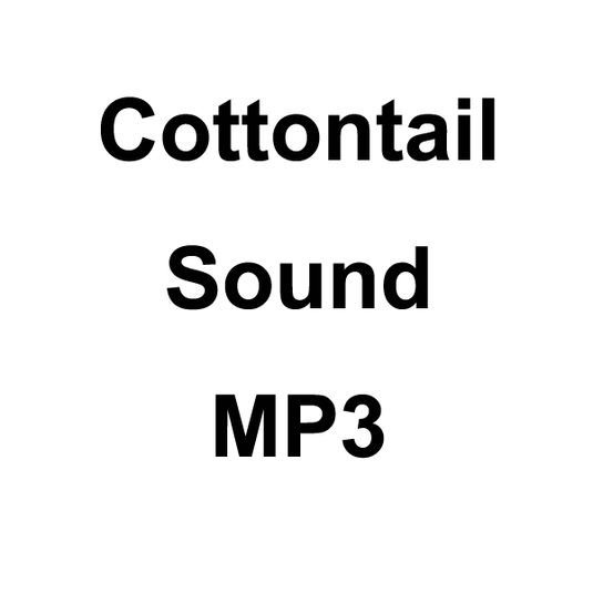 Wildhunter.ie - Cottontail Sound MP3 Download -  MP3 Downloads 