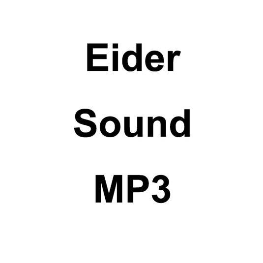 Wildhunter.ie - Eider Sound MP3 Download -  MP3 Downloads 
