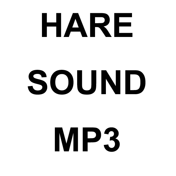 Wildhunter.ie - Hare MP3 Sound Download -  MP3 Downloads 