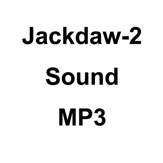Wildhunter.ie - Jackdaw-2 Sound MP3 Download -  MP3 Downloads 