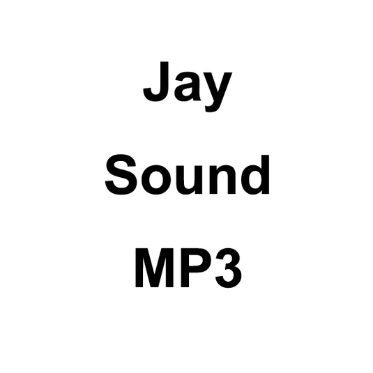 Wildhunter.ie - Jay Sound MP3 Download -  MP3 Downloads 