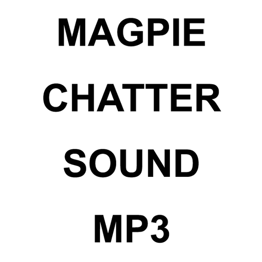 Wildhunter.ie - Magpie MP3 Sound Download -  MP3 Downloads 