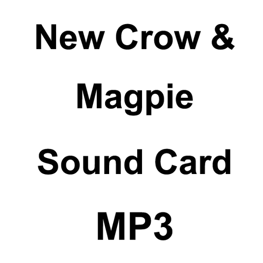 Wildhunter.ie - New Crow and Magpie Sound Card MP3 Download -  MP3 Downloads 