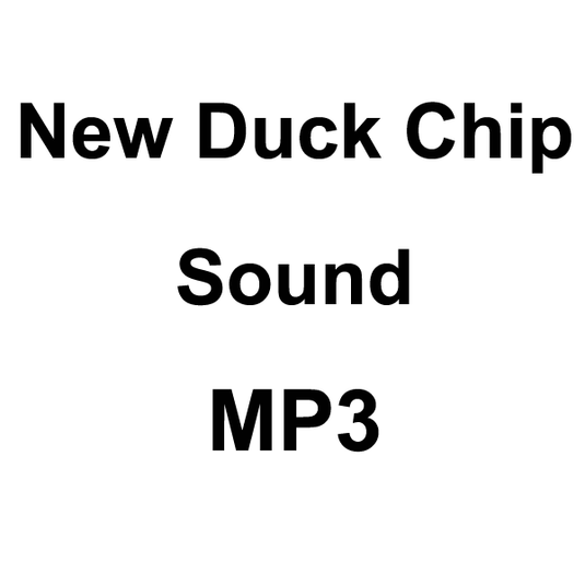 Wildhunter.ie - New Duck Chip Sound MP3 Download -  MP3 Downloads 