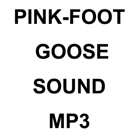 Wildhunter.ie - Pink-foot Goose MP3 Sound Download -  MP3 Downloads 