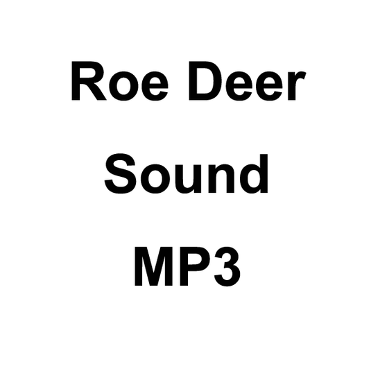 Wildhunter.ie - Roe Deer Sound MP3 Download -  MP3 Downloads 