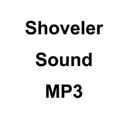 Wildhunter.ie - Shoveler Sound MP3 Download -  MP3 Downloads 