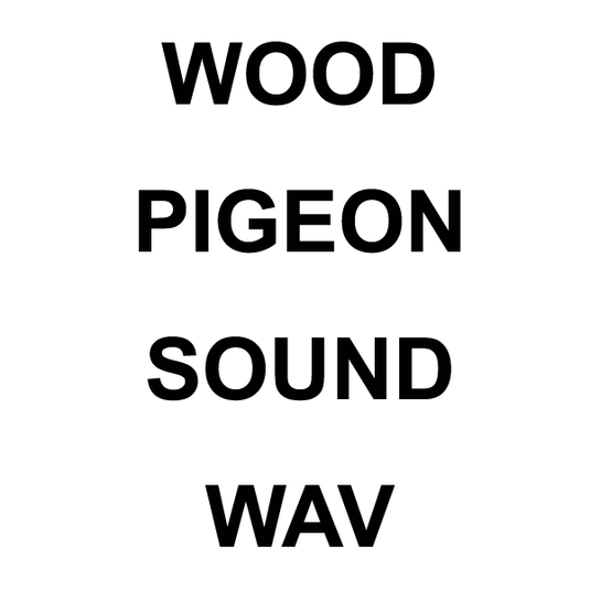 Wildhunter.ie - Wood Pigeon WAV Sound Download -  MP3 Downloads 